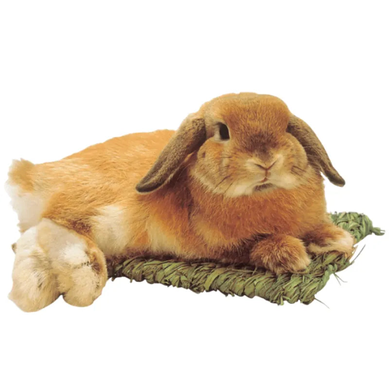 Kawai 消暑提摩西草墊 little pet pet
