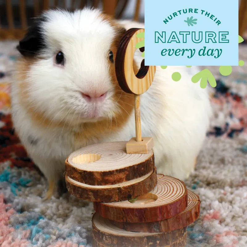 Oxbow Enriched Life 原木片小塔 little pet pet