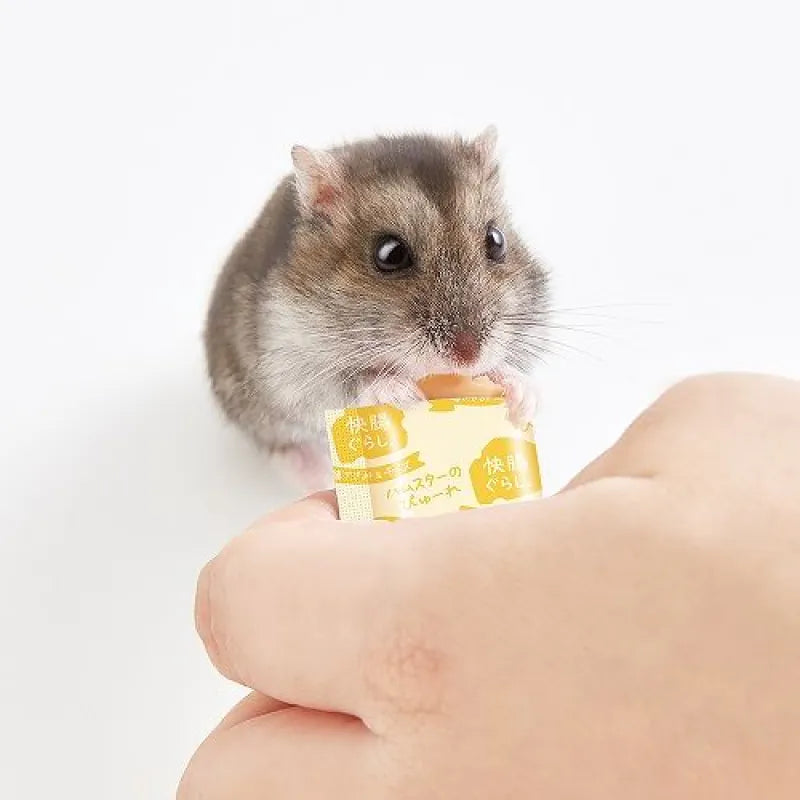 Marukan 快腸倉鼠雞肉芝士營養蓉 - 30g LITTLE PET PET