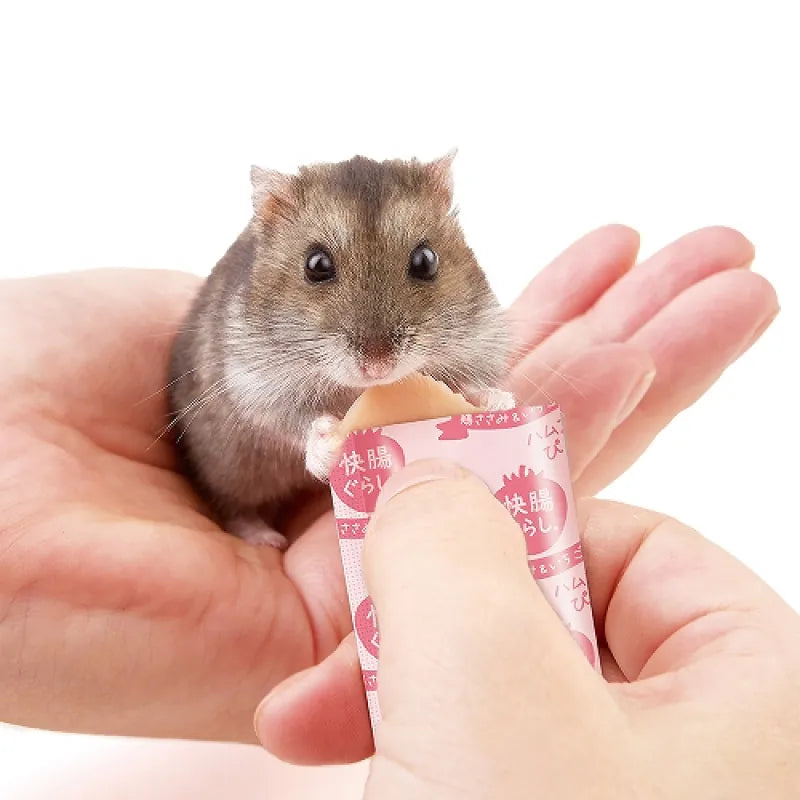 Marukan 快腸倉鼠雞肉草莓營養蓉 - 30g LITTLE PET PET