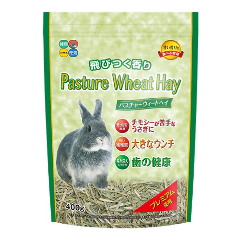 Hipet Pasture 小麥草 - 400g Little Pet Pet