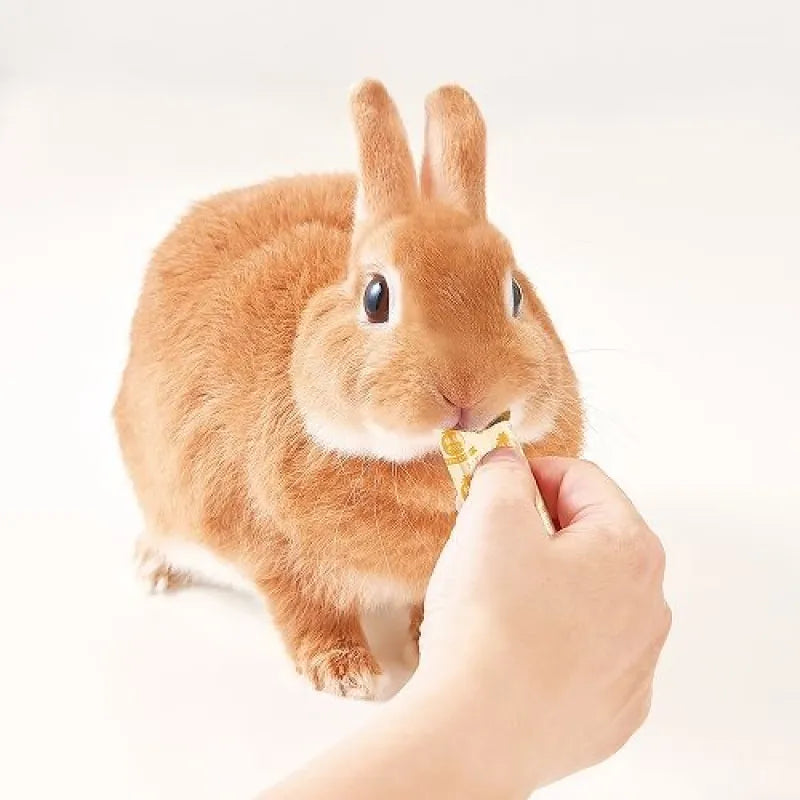Marukan 快腸兔子菠蘿營養蓉 - 30g little pet pet
