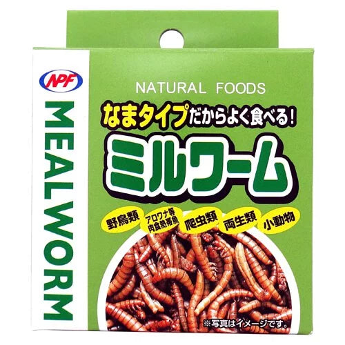 NPF 罐裝麵包蟲 - 35g little pet pet