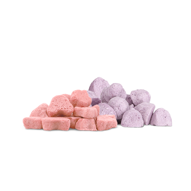 Dr. Bunny 博衛健 益生健腸小點 (草莓味 + 藍莓味) - 10g little pet pet