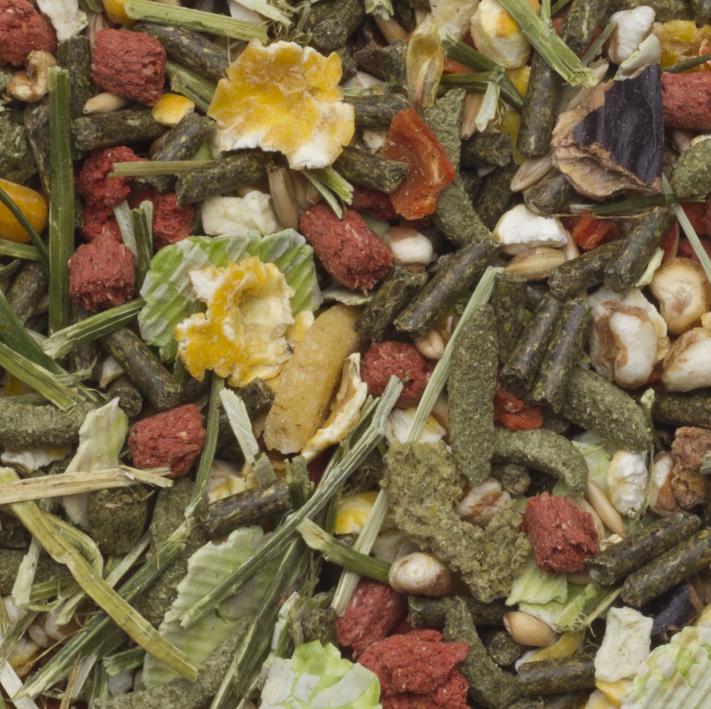 Deli Nature 優質葵鼠糧/天竺鼠糧 - 800g