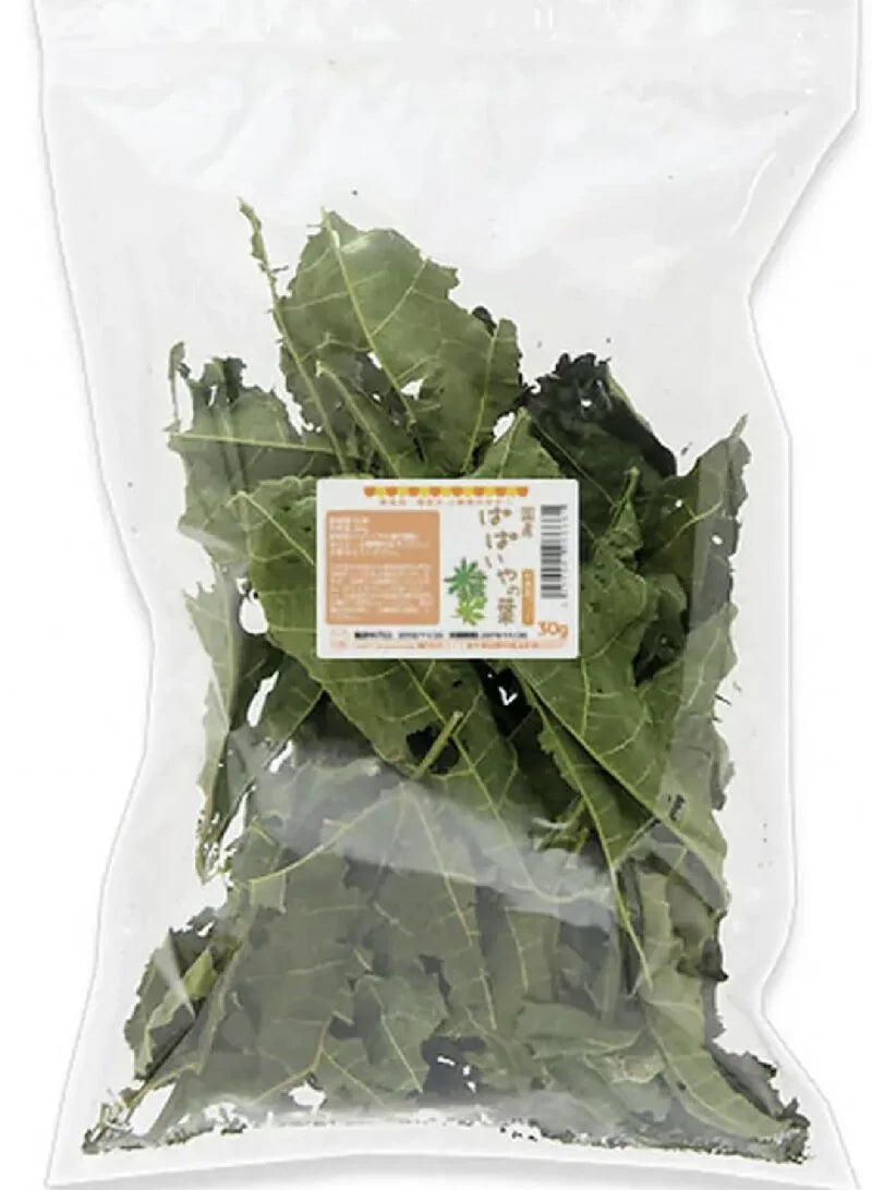 日本USAYAMA 國產木瓜葉 30g little pet pet