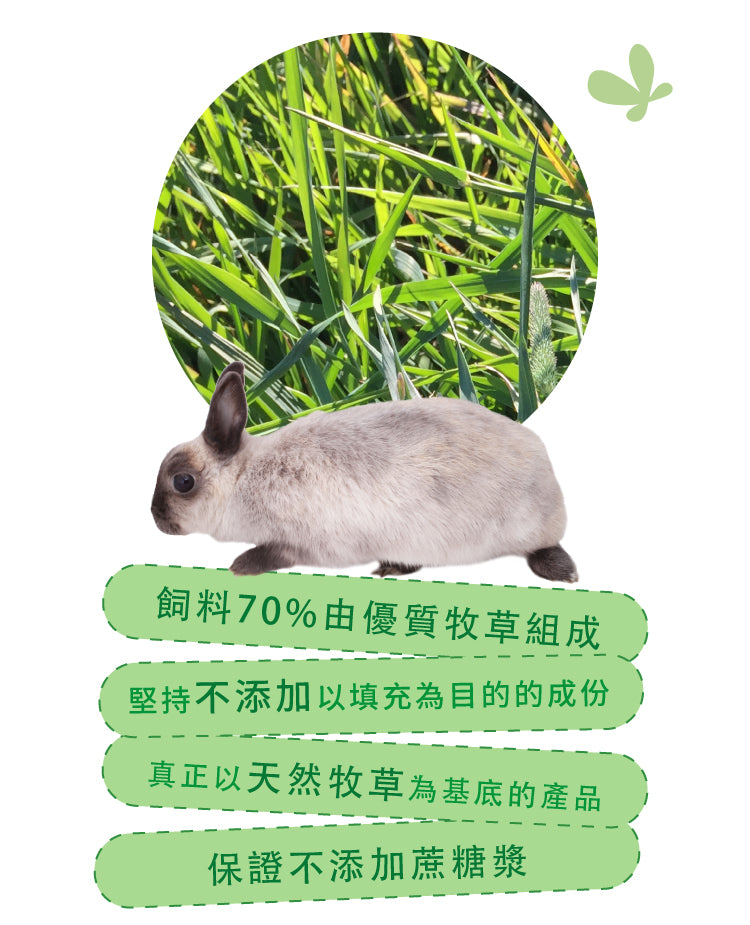 Momi 全營養IC老兔糧1KG Complete IC(適用於老年兔子5歲或以上)