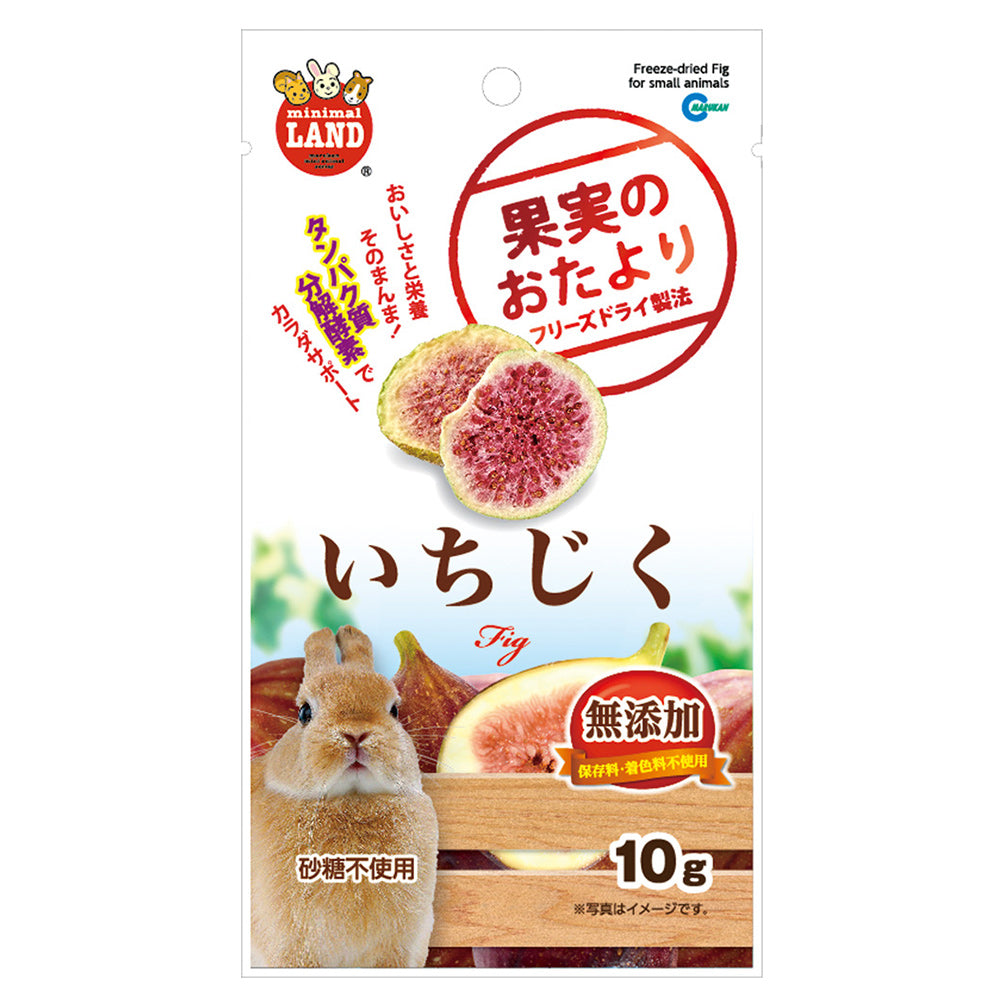 (優惠價)Marukan 凍乾無花果乾 10g (食用日期至11/2026)