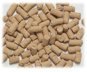 日本 SANKO 乳酸菌 100g 經濟裝 小動物營養品 Little Pet Pet