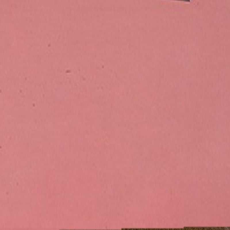 寵物防透底床笠床單-紅色 (150cm x 200 cm)