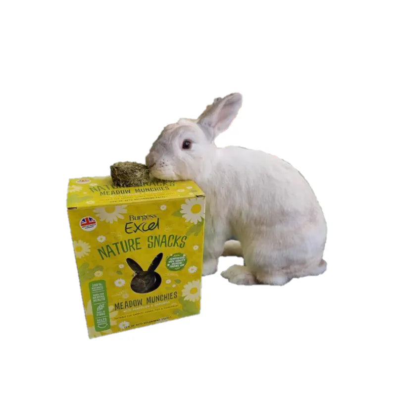 Burgess Excel 草磚 - 1kg Excel Meadow Munchies little pet pet