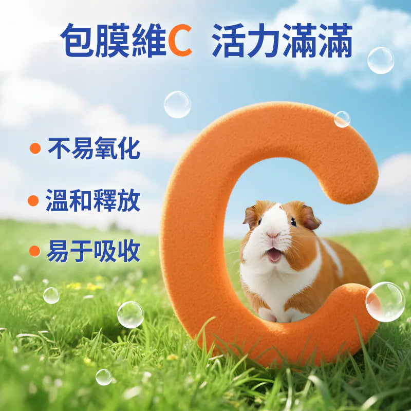 Joy & Fibre® 護腸成年天竺鼠糧 - 1lb