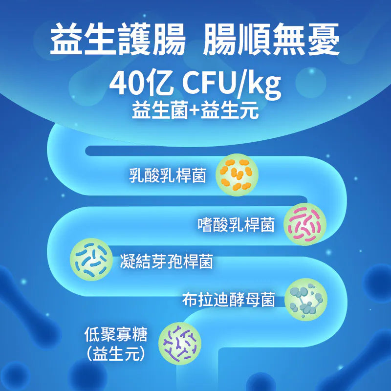 Joy & Fibre® 護腸成年天竺鼠糧 - 1lb