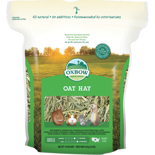 Little Pet Pet Oxbow 燕麥草  Oat Hay - 15oz