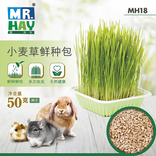 Little Pet Pet Mr. Hay 小麥草鮮種包