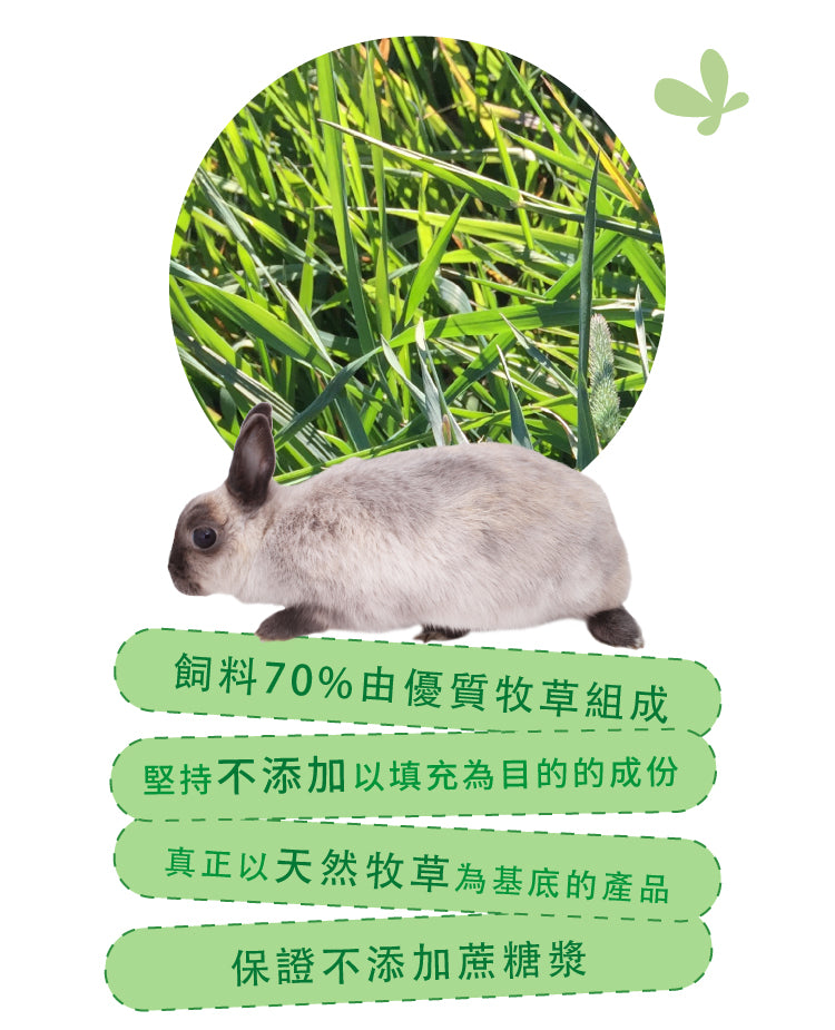 Momi 提牧草營養全T兔糧 1KG Complete T （適用於成年兔子 1-5歲）
